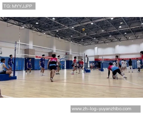 重庆排球队的速度之美：探索排球运动中的快速反应与团队配合