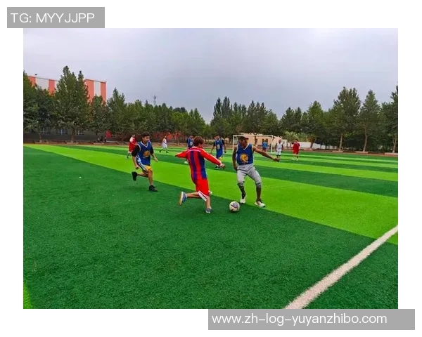 足球雪豹勇闯赛场展现激情与团结的精神之旅